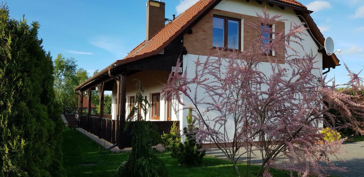 Dom W Skowronkach Villa Sasino Exterior photo